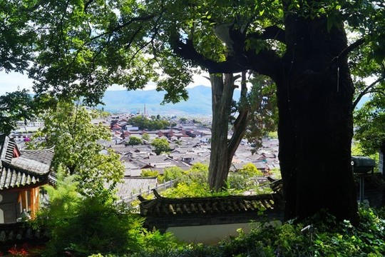 麗江古城全景