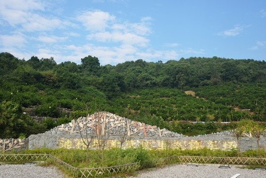 鄉(xiāng)村旅游