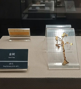 金樹