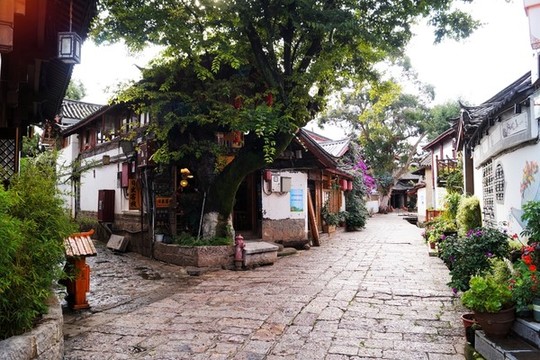 麗江古城小巷