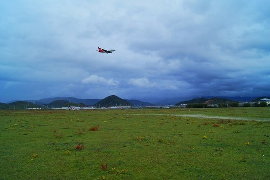 香格里拉納帕海草原