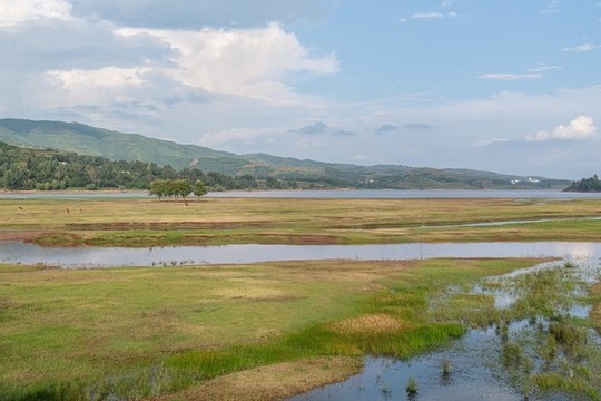 會(huì)澤大橋黑頸鶴保護(hù)區(qū)