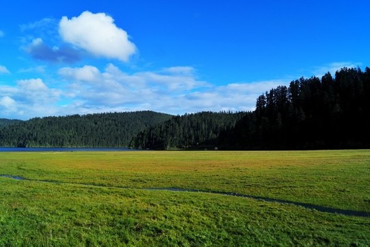 香格里拉普達(dá)措國(guó)家森林公園