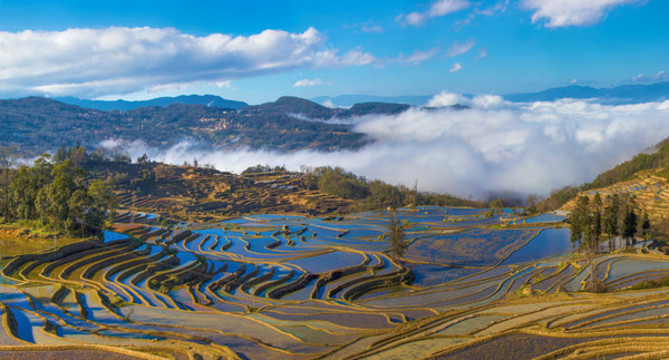 元陽梯田