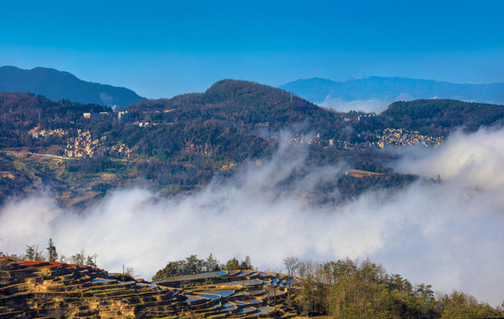元陽梯田
