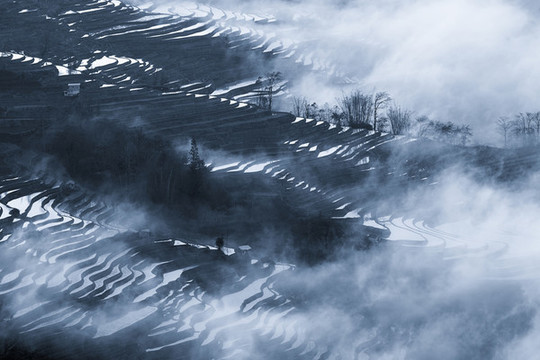 元陽(yáng)梯田