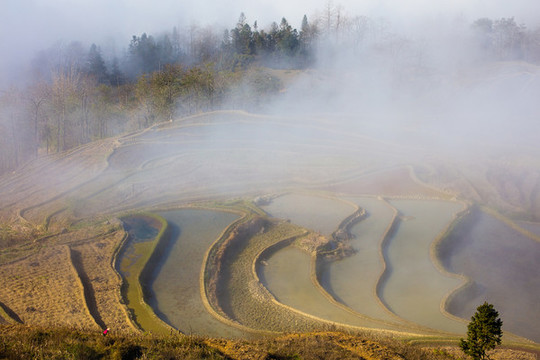 元陽(yáng)梯田