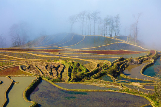 元陽(yáng)梯田