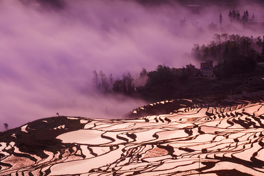 元陽(yáng)梯田