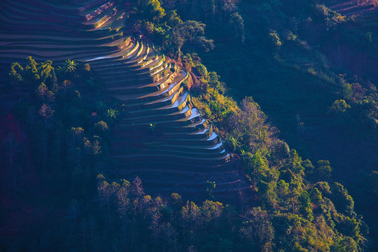 元陽梯田