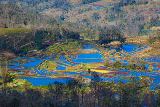 元陽梯田