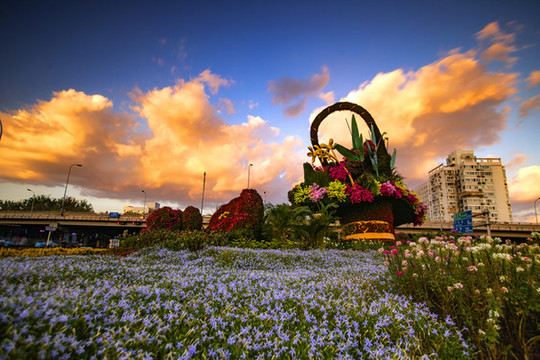 城市花籃