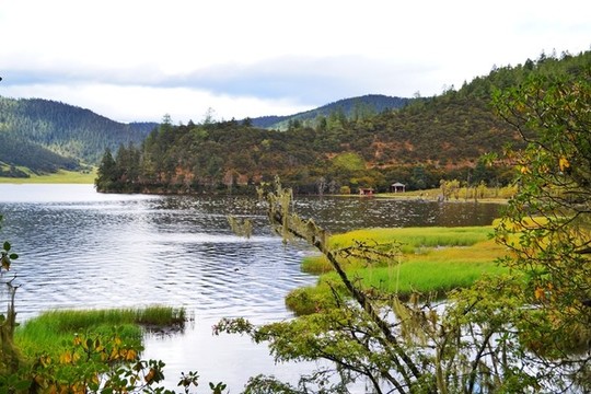 香格里拉普達(dá)措國(guó)家森林公園