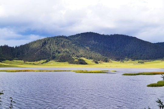 普達(dá)措國(guó)家森林公園