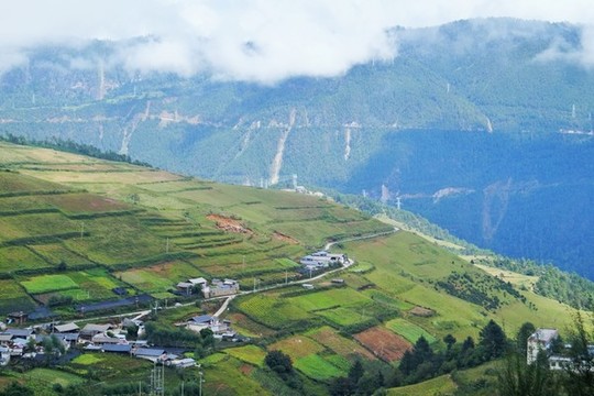 香格里拉彝族村寨