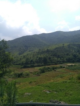 鄉(xiāng)村美景