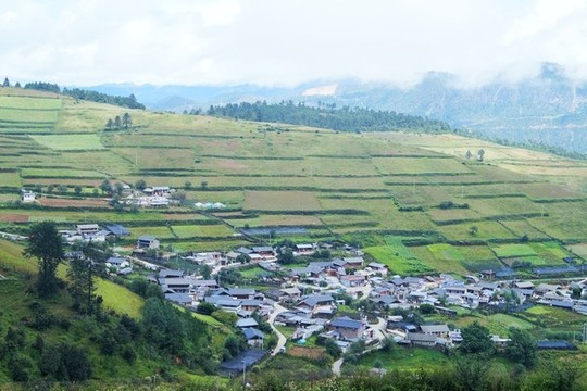 香格里拉彝族村寨