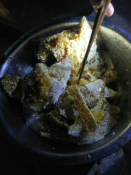 農(nóng)家土蜂蜜