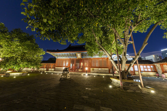 北京東城區(qū)智化寺智化殿夜景