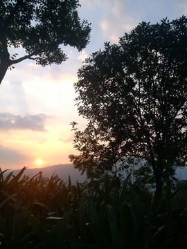 夕陽(yáng)下山