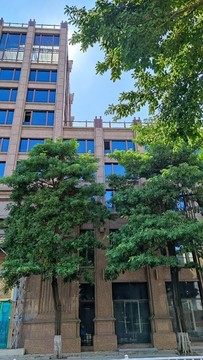 行道樹