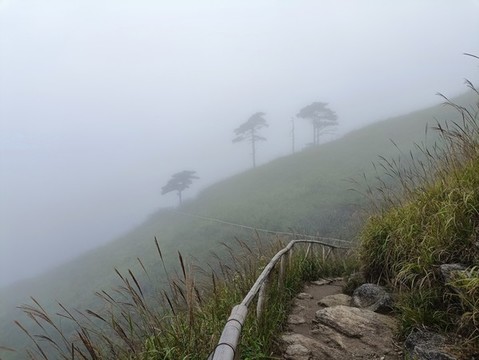 霧中武功山