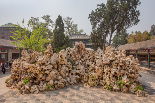 古蓮花池