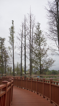 公園棧道