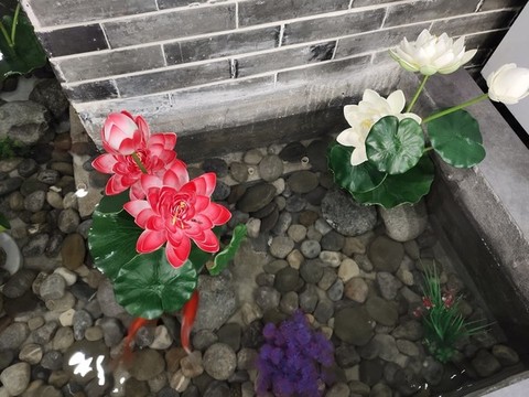 蓮花