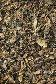 古樹老茶