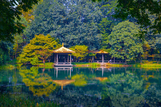 樹(shù)林池塘水榭