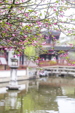蘇州園林同里古鎮(zhèn)煙花三月