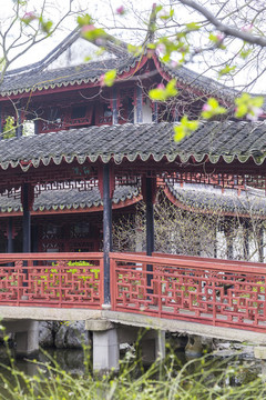 蘇州園林同里古鎮(zhèn)古建筑