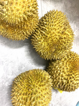 榴蓮