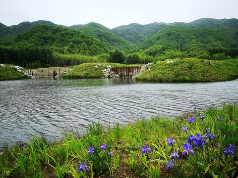 濕地公園