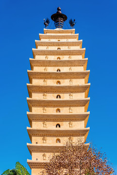 中國云南昆明東寺塔
