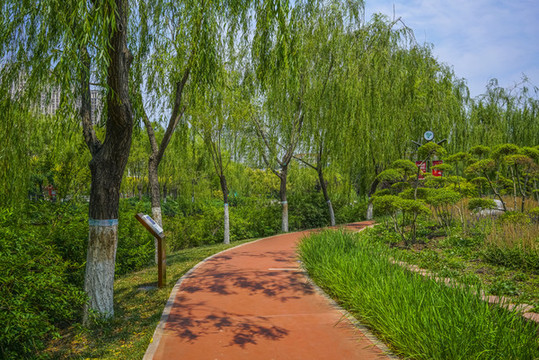公園健身步道高清大圖