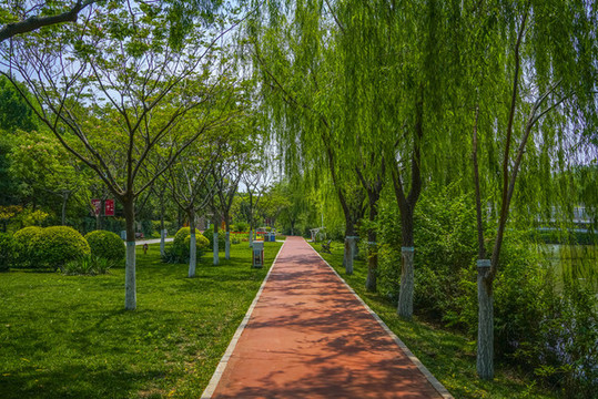 公園健身步道高清大圖