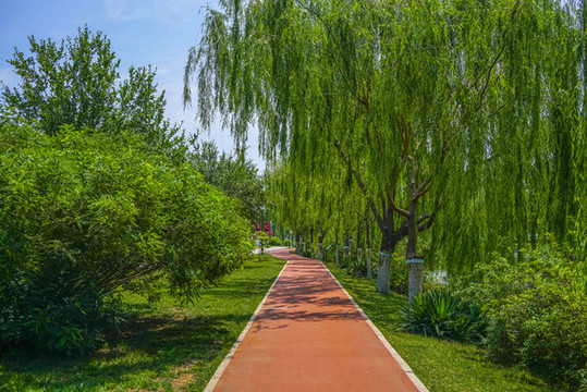 公園健身步道高清大圖