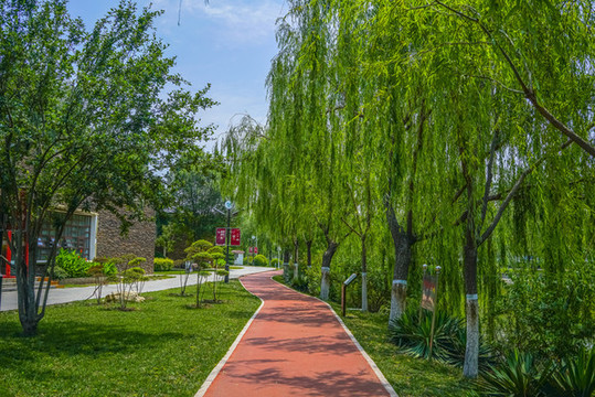 公園健身步道高清大圖