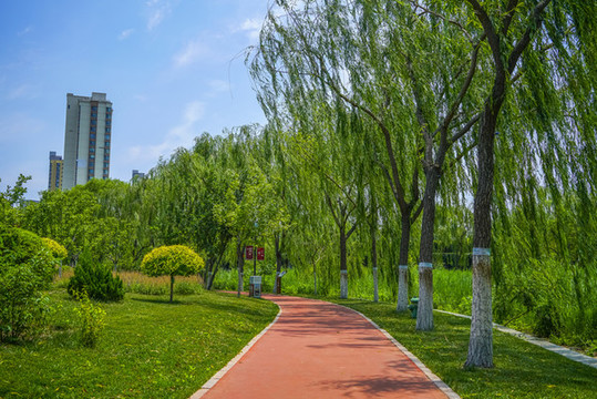 公園健身步道高清大圖