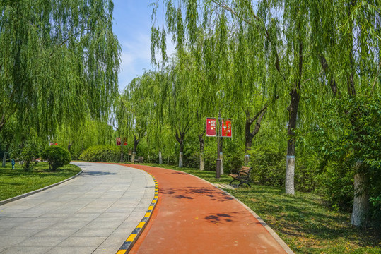 公園健身步道高清大圖
