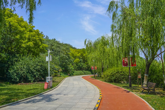 公園健身步道高清大圖