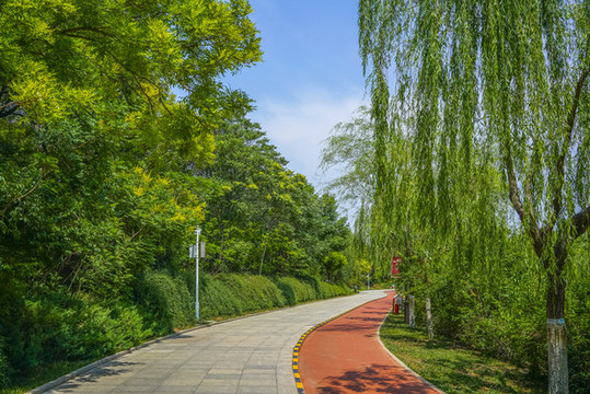公園健身步道高清大圖