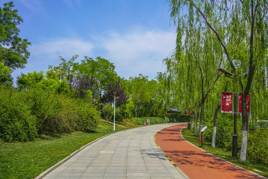 公園健身步道高清大圖