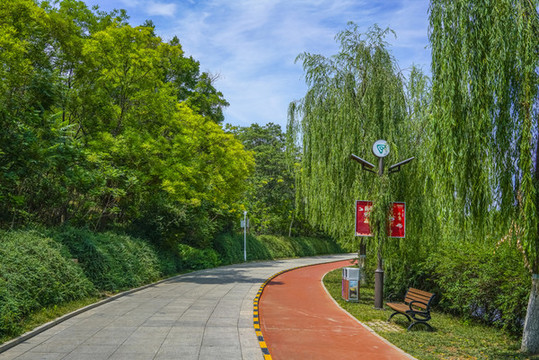 公園健身步道高清大圖