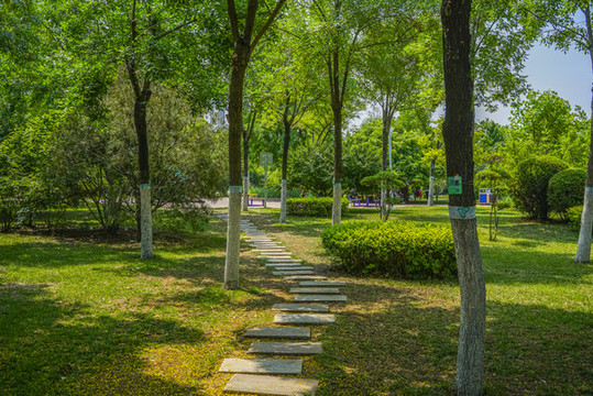公園石板路