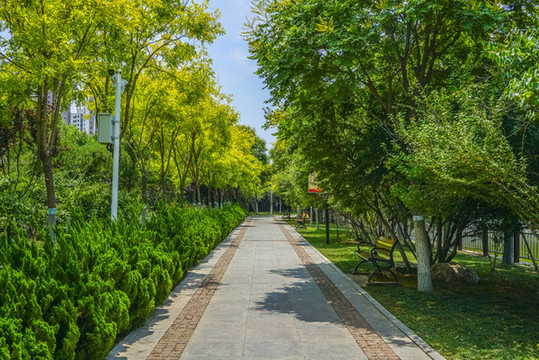 公園小路高清大圖