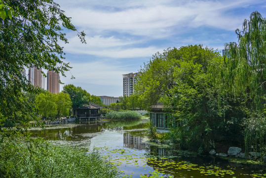 寧園池塘景觀