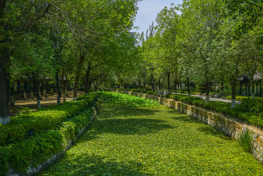 寧園河道景觀